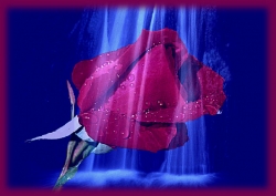 This is 4 all viewers and pals