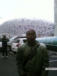 bird nest