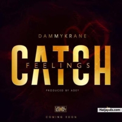 Catch Feelings by Dammy Krane