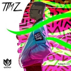 Hustle by Bad Boy Timz Ft. Zlatan Ibile