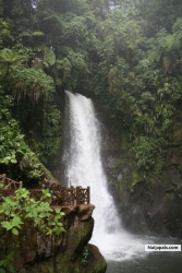 water fall