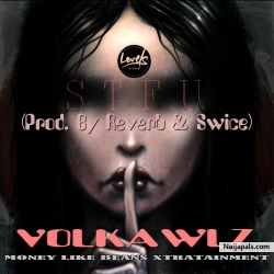 STFU (Prod. By Reverb & Swice) by Volkalwz