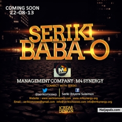 25 Questions by Seriki
