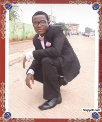 IBOI FESTUS (iboielated)