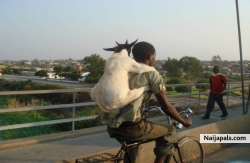 on my way to work
