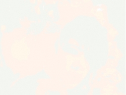 friskeebunmi (friskeebunmi)