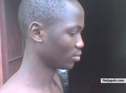 daud