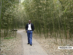 ogunseitan johnson  (jaobaba2009)