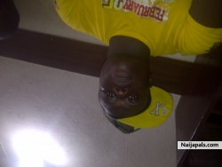 studion tinz