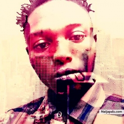 kingstonray800@gmail.com 