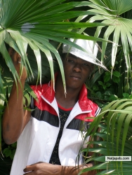 boypeace (boypeace1)