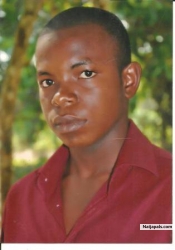 david nwankwo