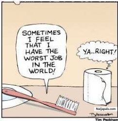 Joke of the day!