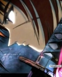 hally sokari