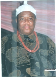 HRM Eze Ifeanyi C. Ugoagha (anigoezemba)