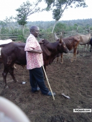 Charles (Kazwile)