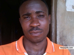 Pipsy noni