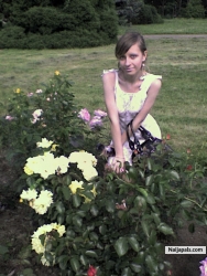 yellow roses