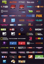 Watch TV Online  free