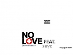 no love by seyz