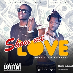 show me love by spaze ft vip standard