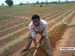 farming is ma pride!!!!!!