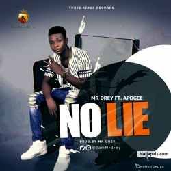 No lie by Mr Drey