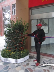 chinese new year orange