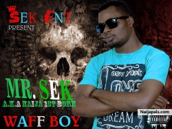 waff boy by mr.sek