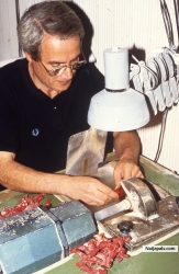 employed ROLF