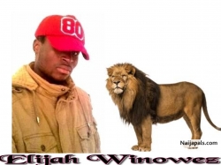 Elijah Onyenmeriogu 