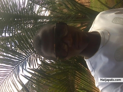 Whyte Palm.