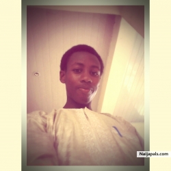 Aliyu Abdulqadir Musa (aliyuamsa)