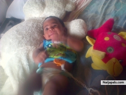 eniola (pweedie01)