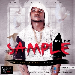 sample-for-example(cover) by iceboy