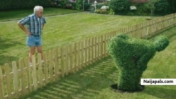 My neighbor still look on my garden !!!! .......