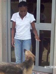 my dog
