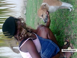 me nd ma dog