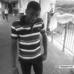 primus wizzy