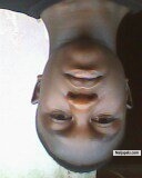 Awolowo Moses