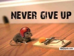 never give up