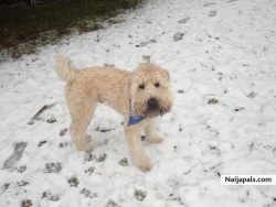 MuRpHy's 1sT T0kYo Sn0w...