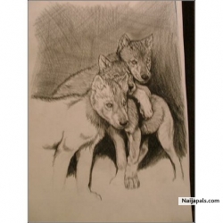 my wolf drawing