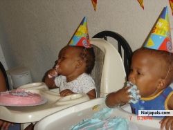 THE TWINS