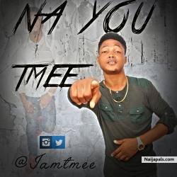 Na You (Prod by Niphkeys) by Tmee