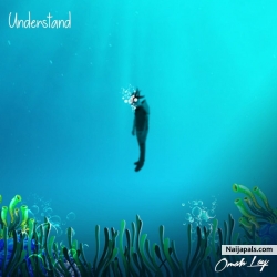 Understand by Omah Lay 