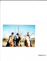 MY TEXAS COWBOYS