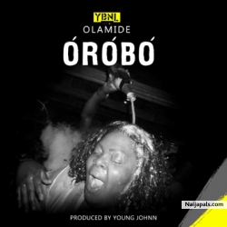 Orobo by Olamide (Prod. by Young Jonn)