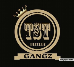 TSTRECORDZ GANGZ is a new new record label in calabar city Nigeria and we are doing our best to get the label to the top