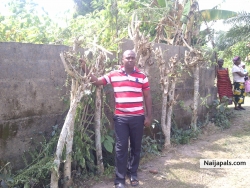 okonkwo ikechukwu philip (ijeh11)